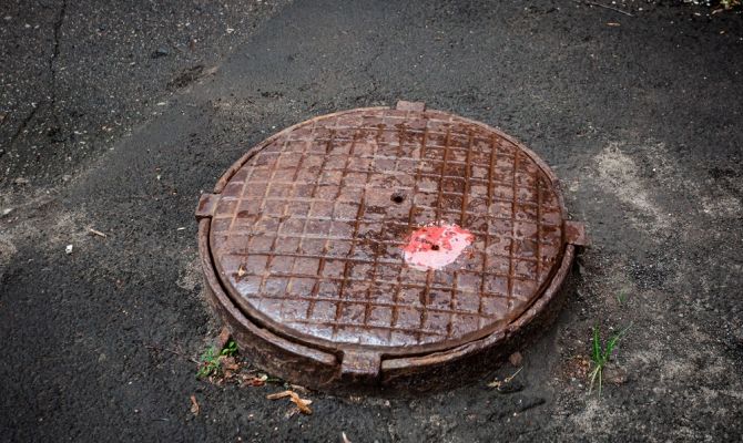 В Тульской области работает чат-бот «Люк»