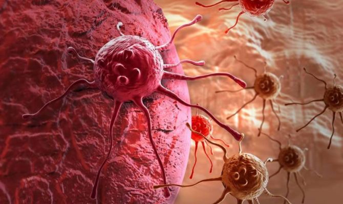 Каждый 3-ий мужчина и каждая 4-ая женщина в мире рискуют заболеть раком