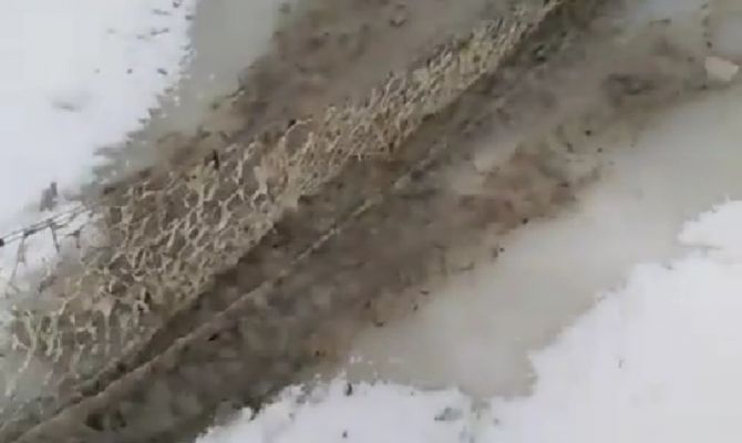 "Вся речка - одни сопли": очевидцы сообщили о загрязнении Венёвки