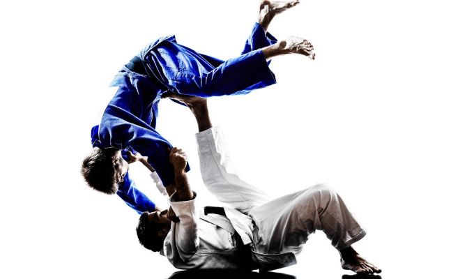 Спортсмены из 25 стран приедут в Тулу на Кубок по дзюдо