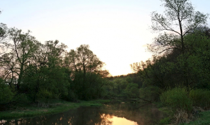 В Щекинском районе нашли тело утонувшего мужчины