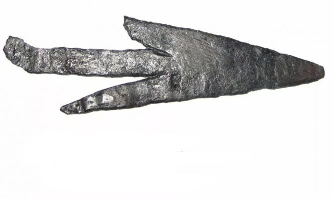 Грозное оружие древности обнаружили археологи в Тульской области