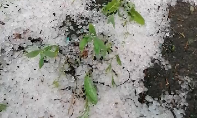 21 июня в Тульской области прошел град