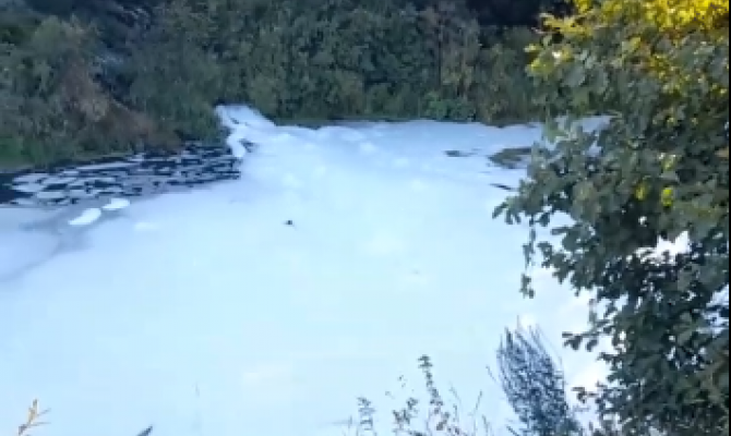 В Тульской области река Мышега покрылась белой пеной