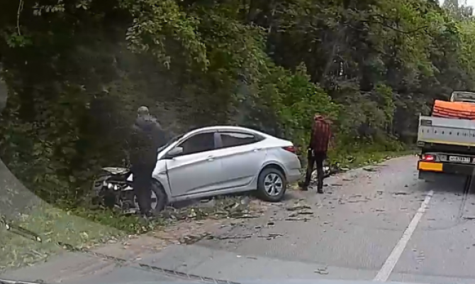 В Туле упавшее дерево разбило автомобиль