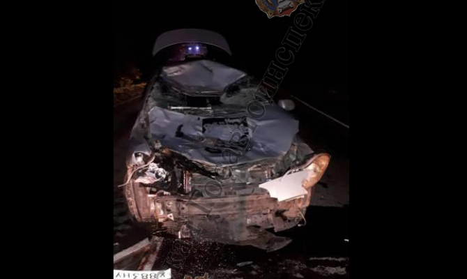 В Тульской области под колеса Chery А13 бросилась корова