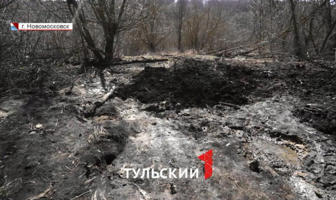 Рукотворный паводок: дачные участки в Новомосковске затопило реками из горячей грязи