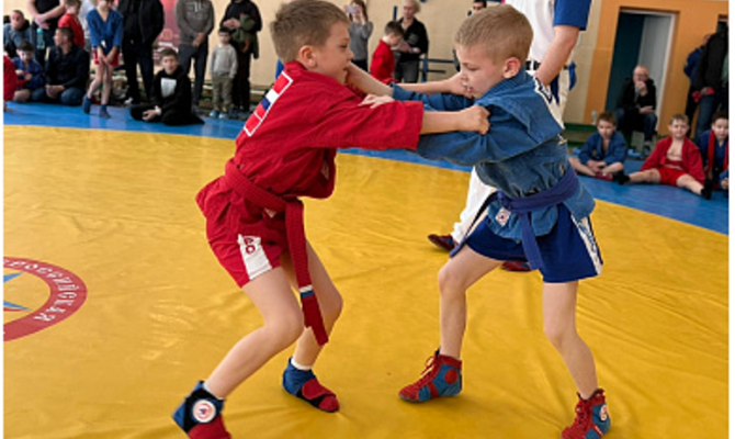 В Туле прошли соревнования по самбо, посвященные 100-летию общества «Динамо» и 9 Мая