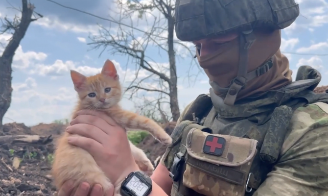 В зоне СВО вместе с тульскими десантниками живет рыжий котенок