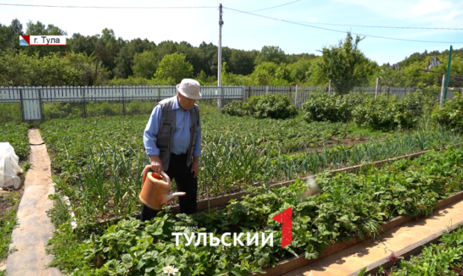 Эксперт рассказал, как избежать боли в спине после работы на огороде