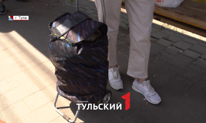 Для какого багажа в маршрутке туляки должны покупать допместо