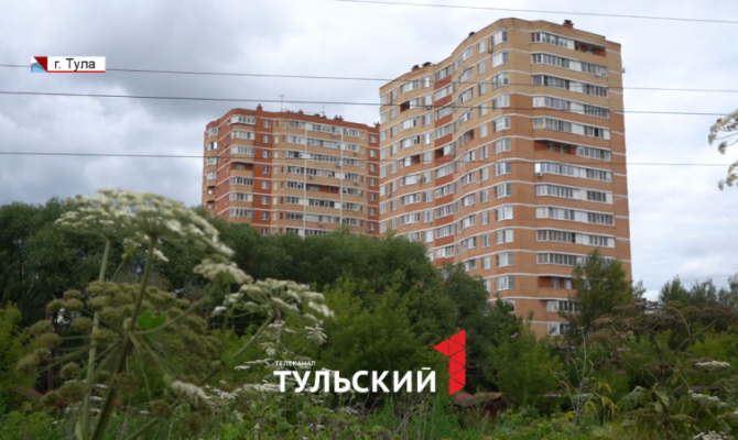 В Пролетарском округе Тулы выросли 3-метровые кусты борщевика