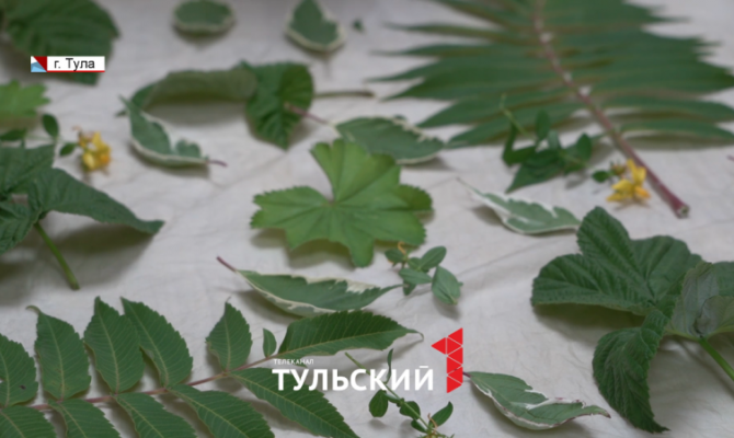 Тулячка создает уникальные принты на одежде из ржавых гвоздей и листьев малины