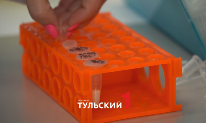 Тульские ученые изобрели измеритель сахара, лактата и мочевины в крови