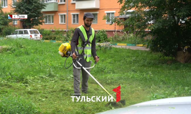 В Туле трава на газонах почти в 3 раза выше нормы: кто ответственен за её покос