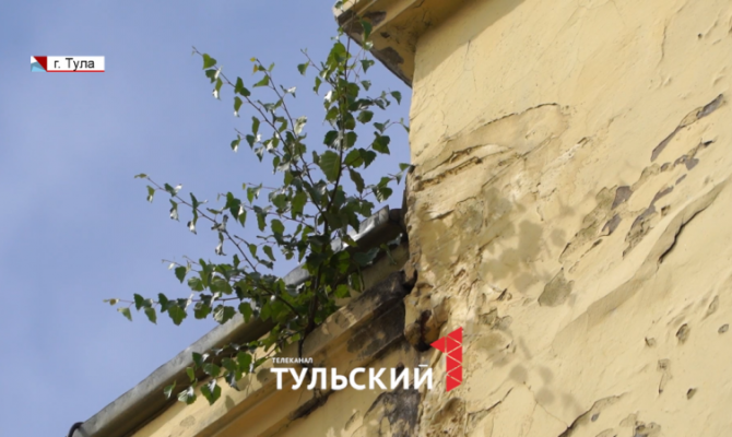 В центре Тулы на домах выросли березы
