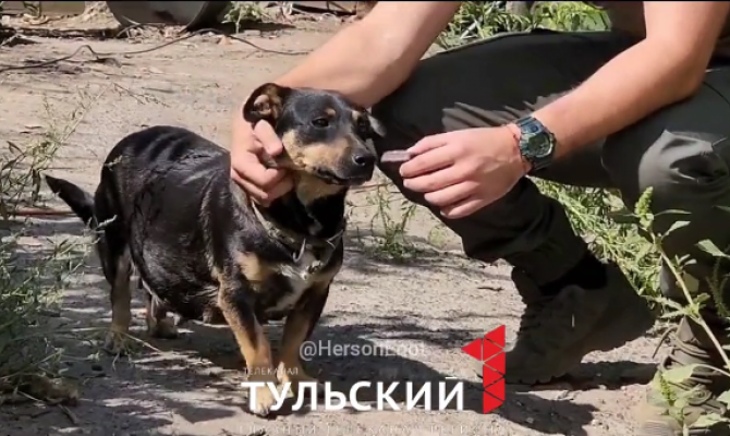 Тульские десантники показали свой талисман в зоне СВО