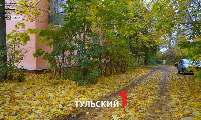 Листья на тротуарах Тулы превратились в скользкую ловушку для жителей