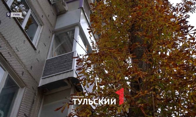 Каштан под окнами нанес тулячке ущерб на 300 тысяч рублей