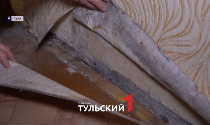 Многоэтажка в Туле покрывается плесенью