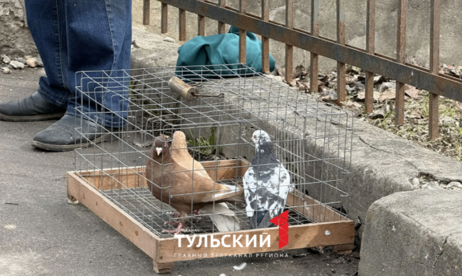 В Туле рассказали о традиции отпускать птиц на Благовещение