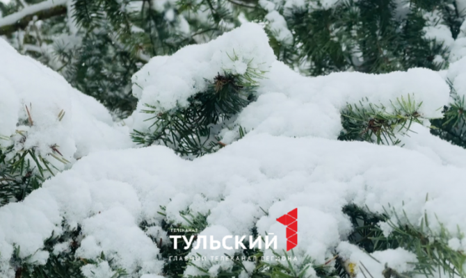 Тульскую область накрыл сильный снегопад и метель 10 апреля