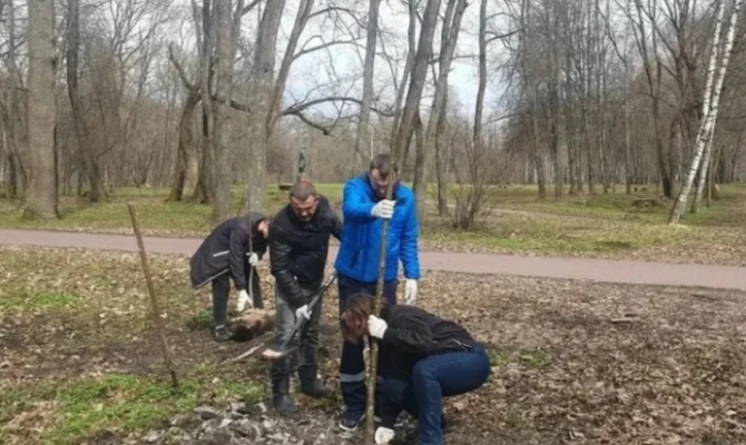 В Богородицком дворце-музее высадили липы и рябины
