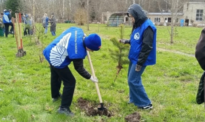 В Тульской области стартовала акция «Моя зелёная Россия»