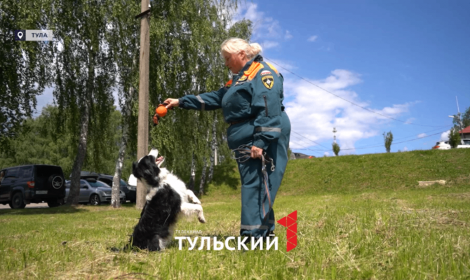 Спасавший людей в Мьянме лабрадор Гита приехал на аттестацию в Тулу