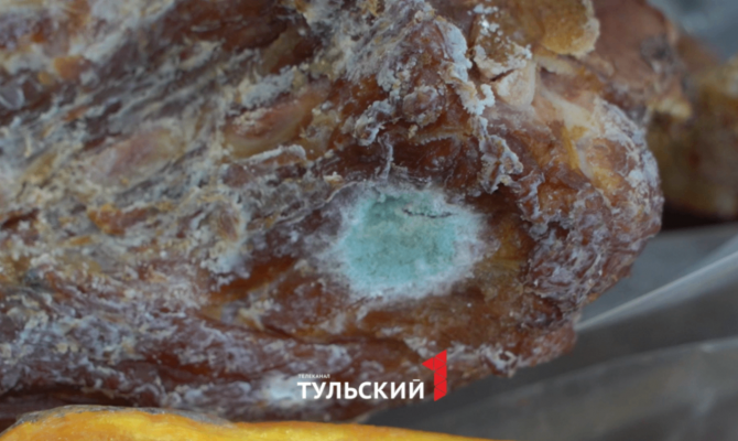 В тульском "Светофоре" нашли плесневое мясо и гнилые фрукты