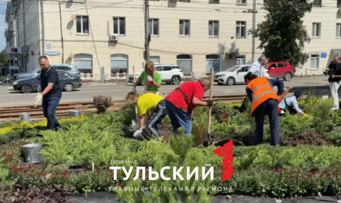В Туле за три года высадили 17 тысяч саженцев деревьев и кустарников