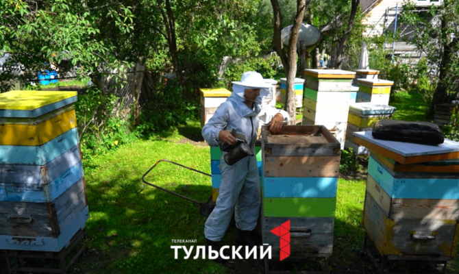 В Тульской области за год собрали 900 тонн меда