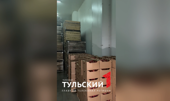 В Туле показали хранилище на 1,5 тонны яблок