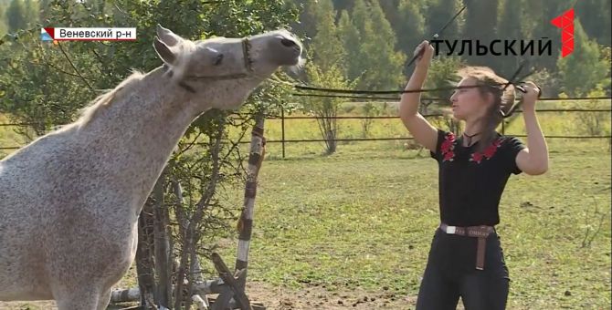 Лошадь, которую в Тульской области хотели отдать на убой, стала одной из лучших в России