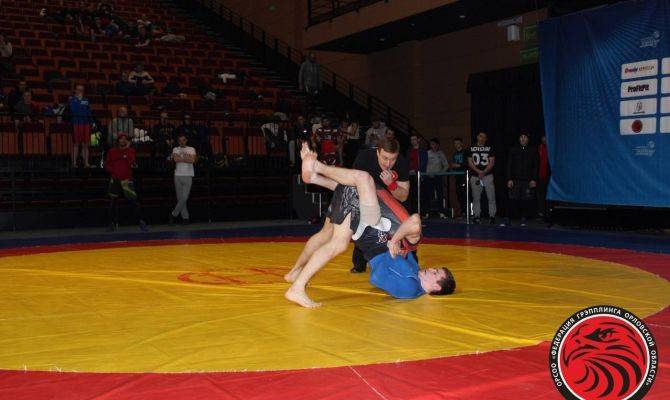 Тульские спортсмены завоевали медали в чемпионате ЦФО