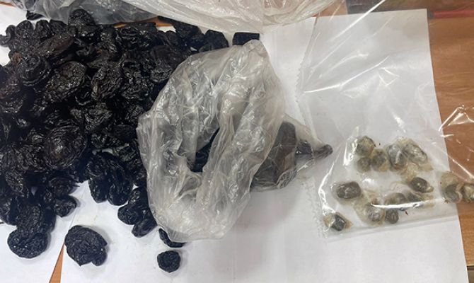 В тульской колонии в пакете с черносливом нашли крупную партию наркотиков