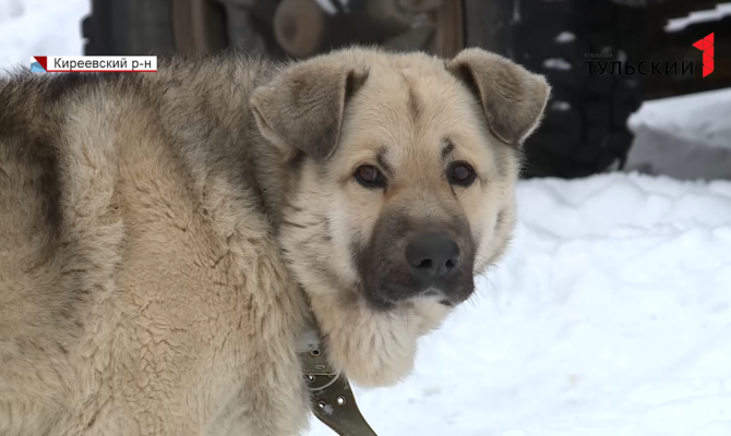 «Арсенал» - «Спартак»: начался второй тайм