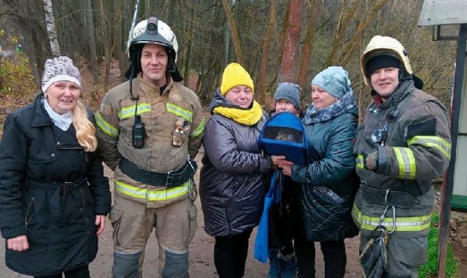 В Туле сотрудники МЧС спасли котенка с дерева