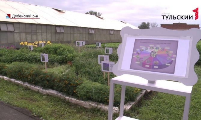 Травы для Китая и строительство очистных: чем живут в Дубне