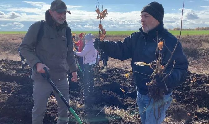 В октябре на Куликовом поле высадят 5 тысяч молодых дубков