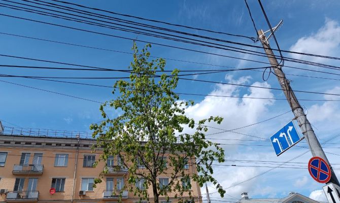 На проспекте Ленина в Туле начали поднимать провода