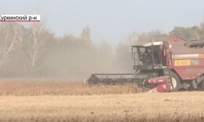 Тульские аграрии завершают уборку сои. РЕПОРТАЖ