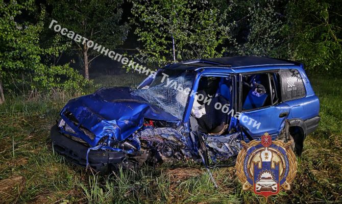 В Суворовском районе «Тойота» врезалась в дерево и перевернулась