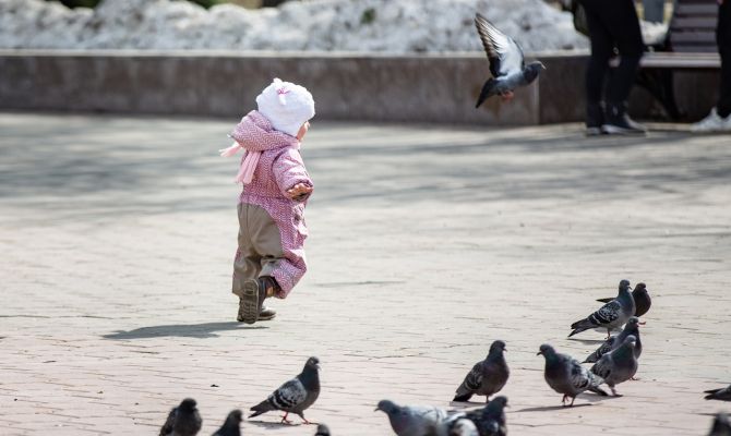 На выходных в Тульской области пройдет дождь 