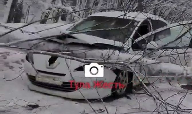В тульском Хомяково дерево раздавило автомобиль