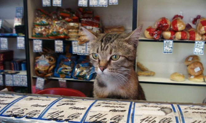 В России продавцы «обогнали» водителей