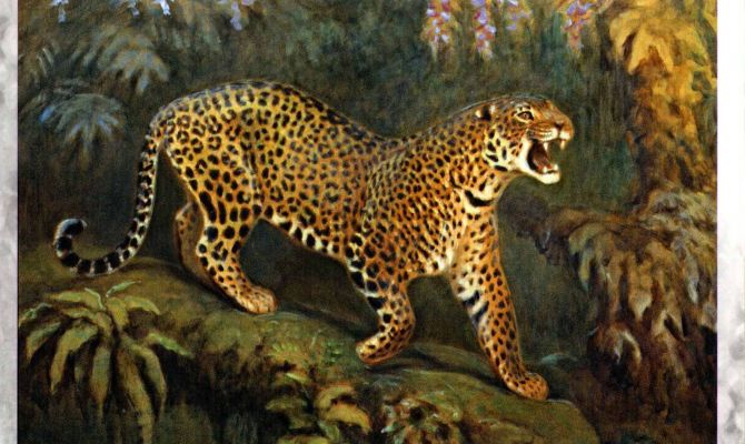 Для туляков пройдет музейное занятие «Мы в ответе за тех, кого приручили»