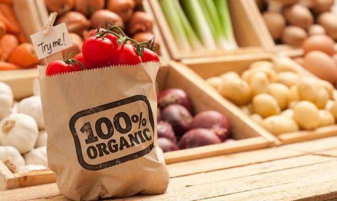 В России предлагают создать единый реестр полезных продуктов