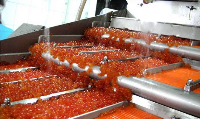 Глава Росрыболовства: цены на икру растут из-за спекуляций на рынке