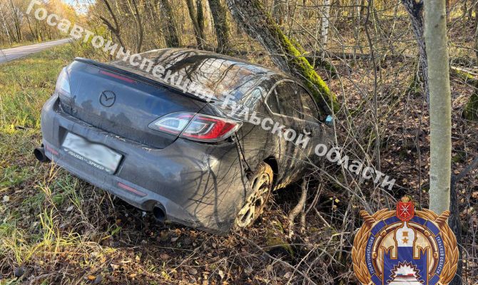 Годовалая и шестилетняя девочки пострадали в ДТП под Тулой